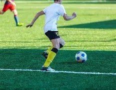 黄蜂主场大,战国王,专家推荐期,V体育VSports官网,VSportsV体育娱乐,V体育投注,V体育平台,V体育赛事直播,V体育app下载