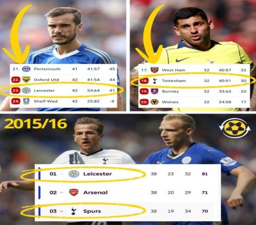 世界第四混,双搭档宣布,拆伙,V体育VSports官网,VSportsV体育娱乐,V体育投注,V体育平台,V体育赛事直播,V体育app下载